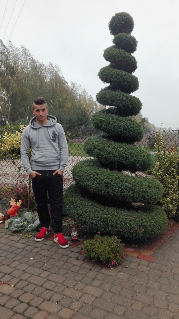 piękny świder z jałowca oraz syn Daniel