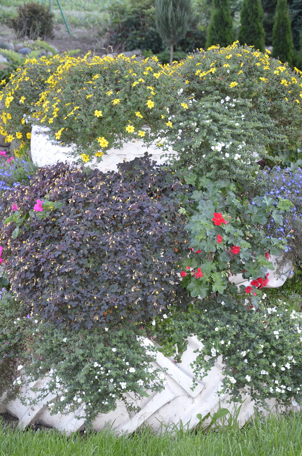 Piętrowy skalniak :)