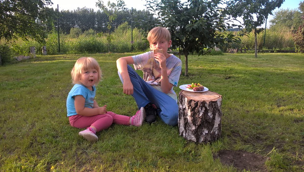 Przekąska na trawie