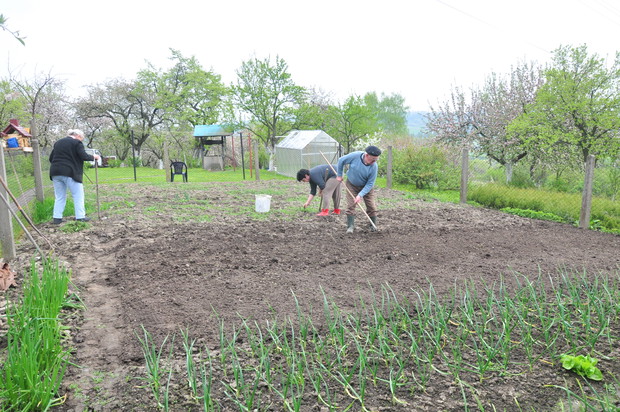Przygotowanie ziemi po zimie pod wysiew warzyw:) 