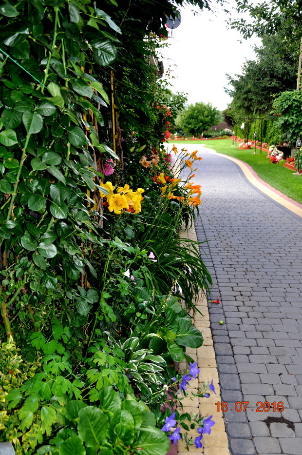 staram sie zagospodarowac kazdy zakatek ogrodu :)