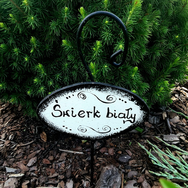 Tabliczki informacje przy roślinach.