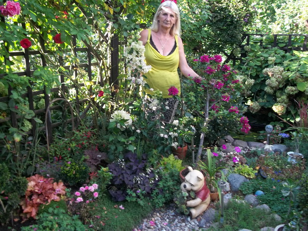 Wśród przepięknych bugenwilli