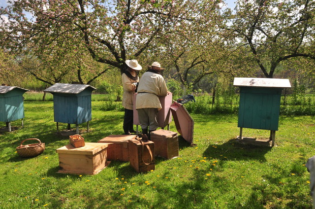 Z dziadkiem przy ulach