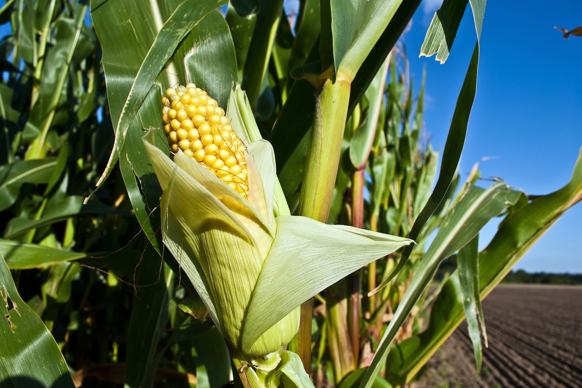 (zdj.: Fotolia.com)