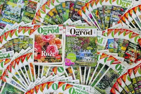 (zdj.: Marek Bigda ze Smolca)