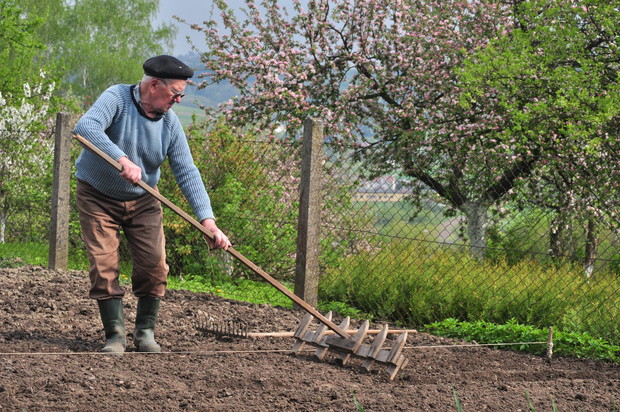 Znacznikiem wyznaczanie rowka pod wysiew.