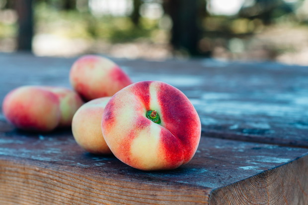 Brzoskiwnia - odmiana "Saturn" (zdj.: Fotolia.com)