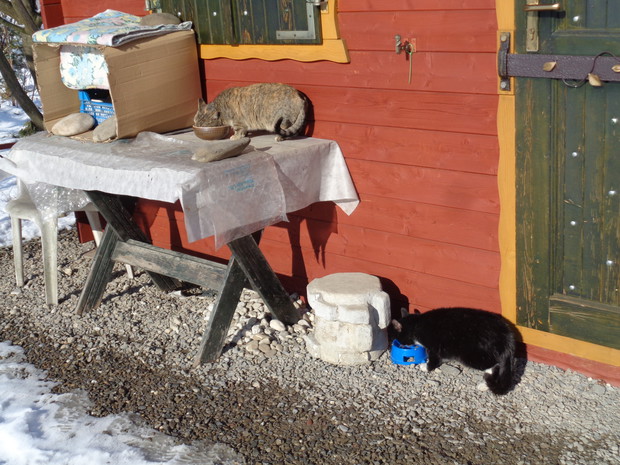 ... i doczekały się.