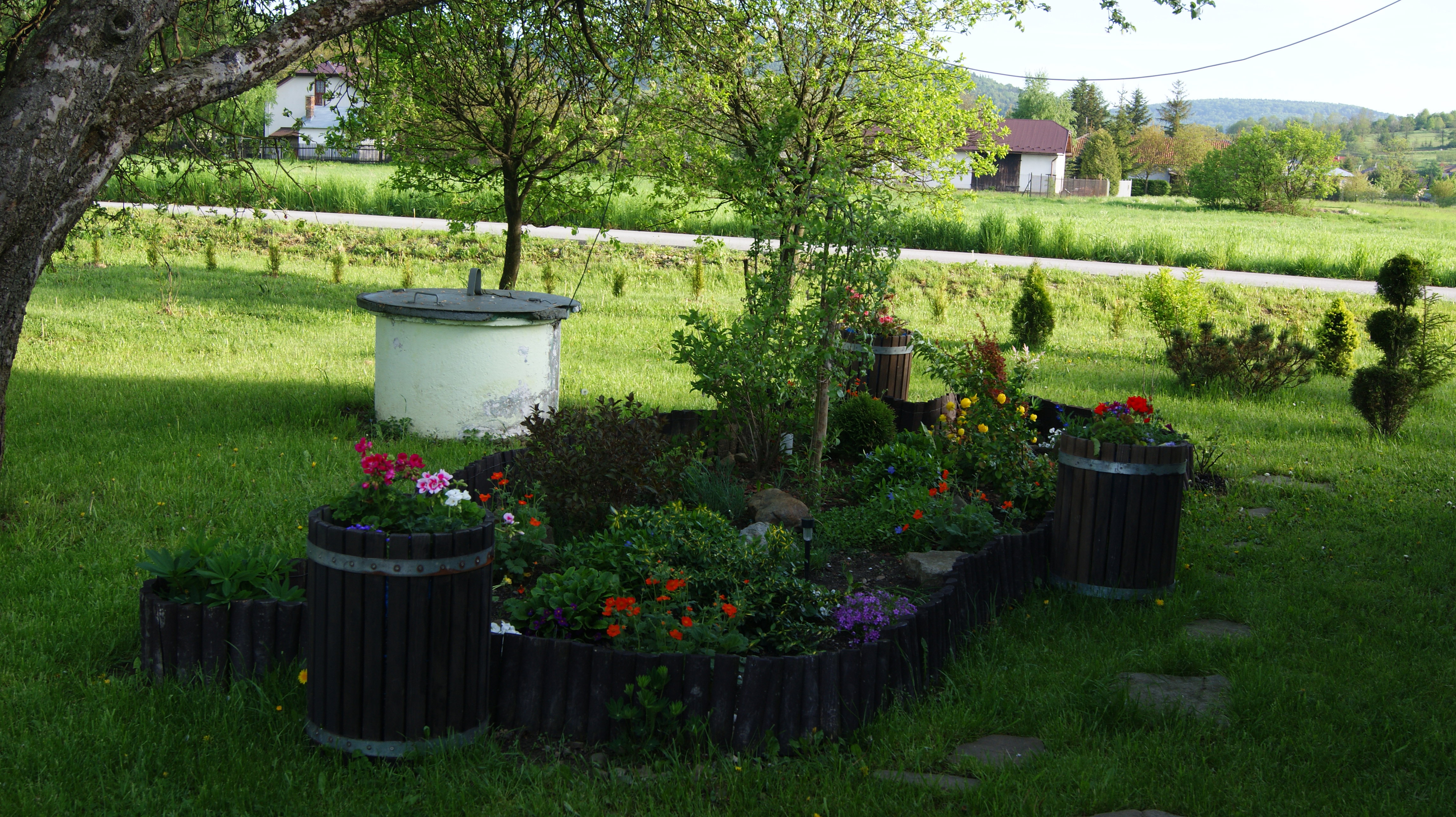 Moje początki z ogrodnictwem cz.1
