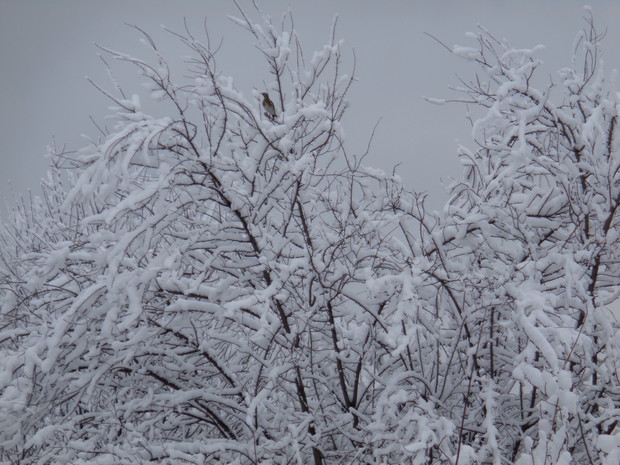Wspomnienia pięknej zimy.