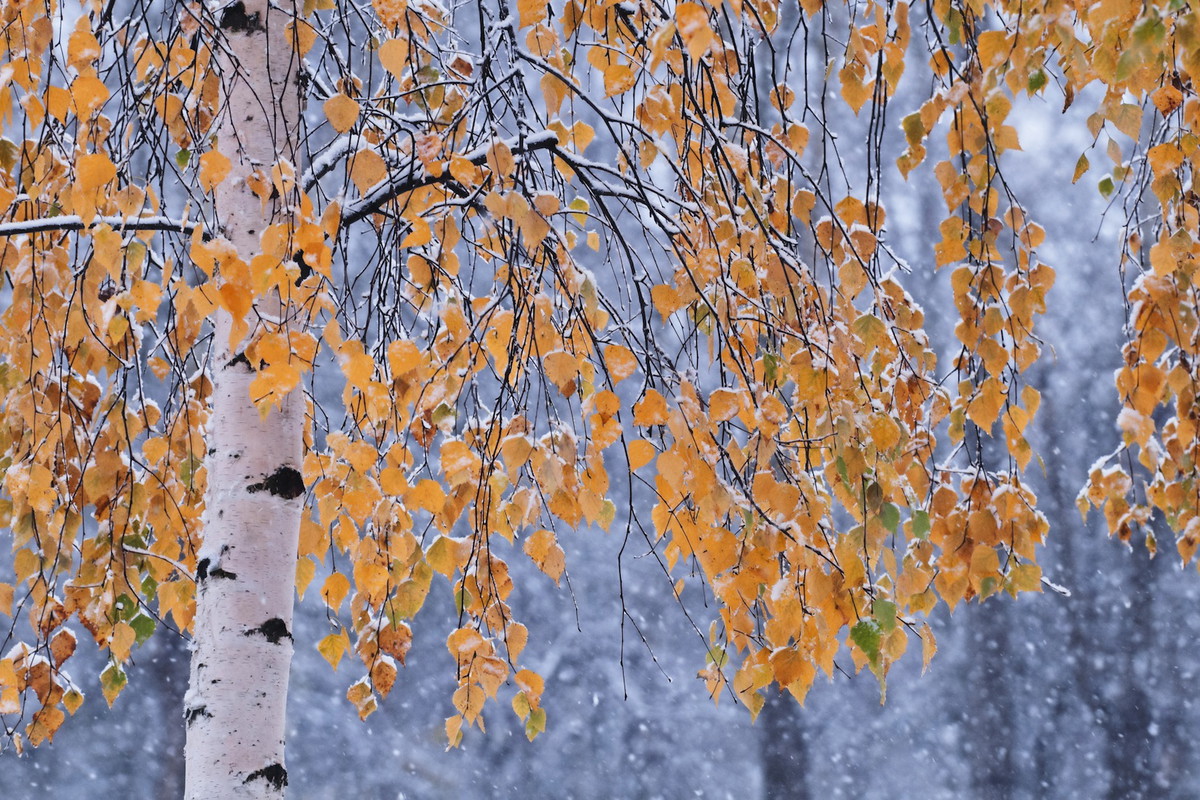 (zdj.: Fotolia.com)