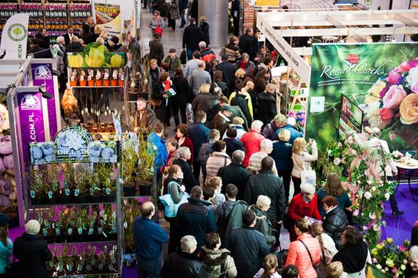 (zdj.: materiały prasowe - Gardenia)