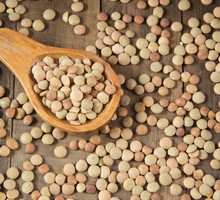 Ziarna soczewicy (zdj.: Fotolia.com)