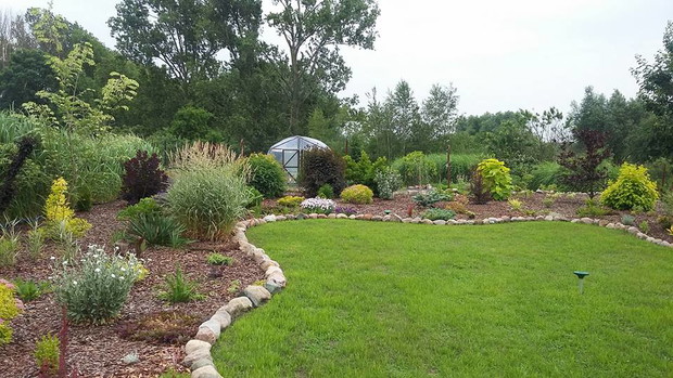 2 sezon tej części ogrodu i 3 tygodniowy trawnik. Na tyłach widać folię - znajduje się tam również obszerny warzywniak.