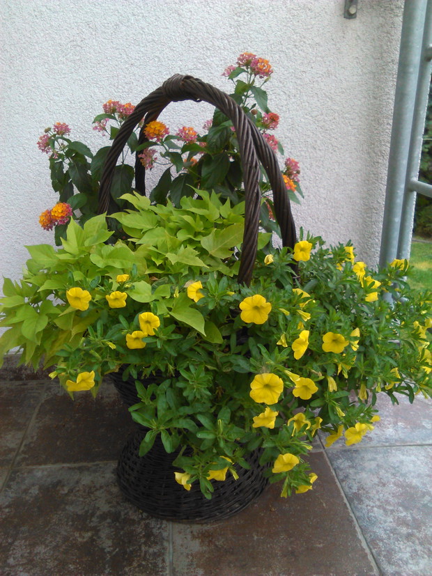 bukiet w koszu przy wejściu do domu 