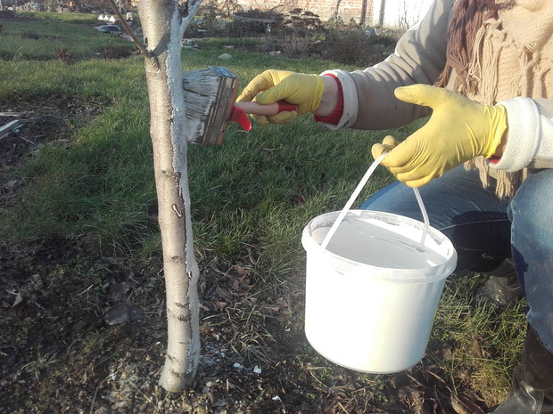 Do zakupionego wapna dodaje tylko wodę.