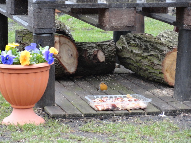 I rudzikowi zostało coś na ząb...