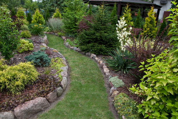 Jukki kwitną już. Czerwiec/lipiec w Naszym ogrodzie. okolice za stawkiem.