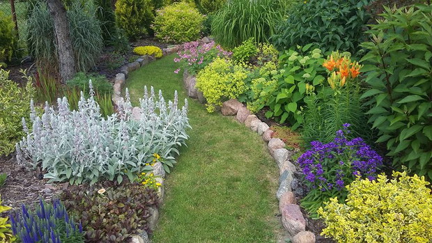 Końcówka czerwca, coraz więcej bylin zakwita.