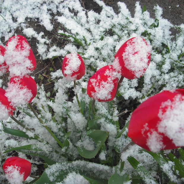 Kwiecień-2017