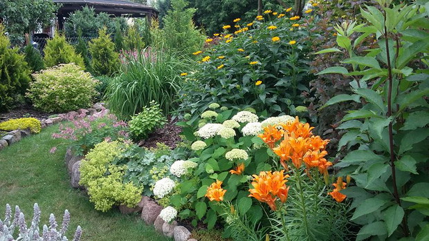 Lipiec, kwitną już liliowce, hortensja i powolutku słoneczniczek szorstki otwiera swoje kwiaty. Przewrotnik po intensywnych deszczach troszkę się położył, ale i tak nadal ma wiele uroku. Ciągle kwitnie serduszka, swoje kwiaty pokazał również czyściec wełn