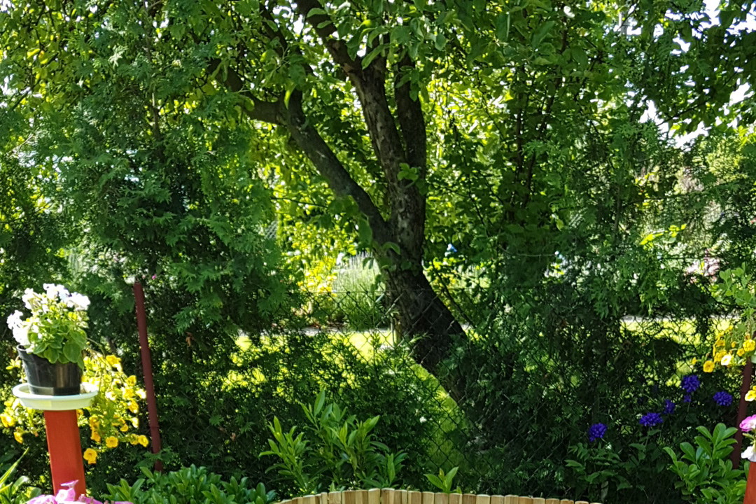 Miejsce do relaksu i cze sc tego co oko cieszy wszystkon robione w kilka miesiecy