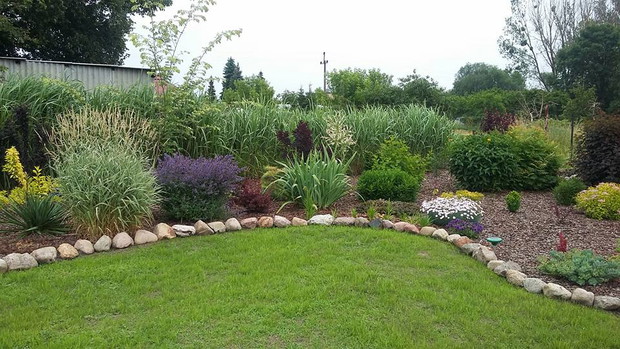 Najnowsza część ogrodu, 23 dzień od posiania trawy, już 2 dni po pierwszym koszeniu. zagęszcza się, wczoraj dosiałam, tam gdzie były jeszcze ubytki.