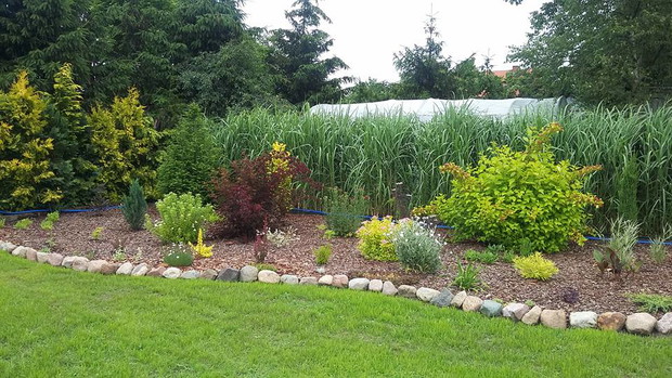 Najnowsza część ogrodu, większe rośliniy rosną 2 sezon, te na przodzie pierwszy rok.  Przy płocie jako parawan rośnie miskant olbrzymi. 