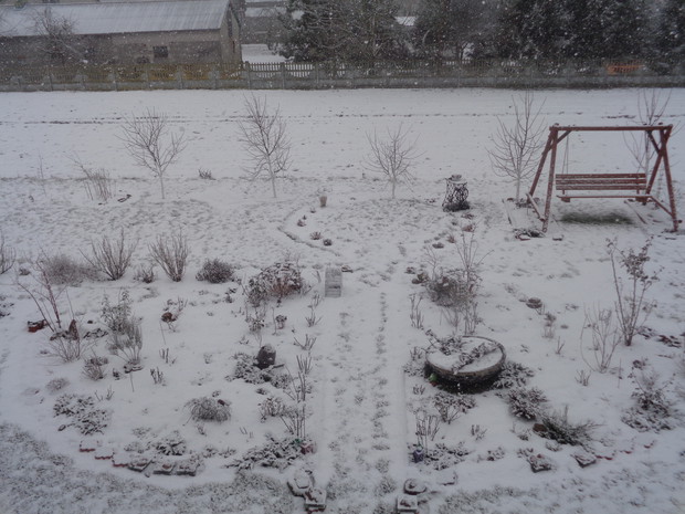 Ogród pokryty białym puchem.
