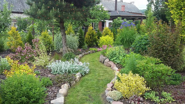 Początek czerwca, 2 sezon tego zakątku :) 