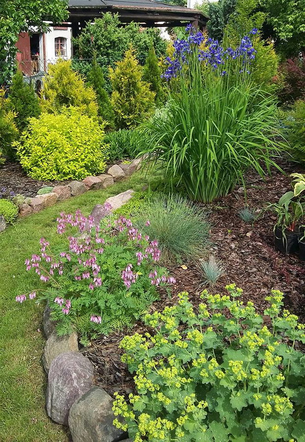 Początek czerwca, coraz więcej kwiatów kwitnie w grodzie.