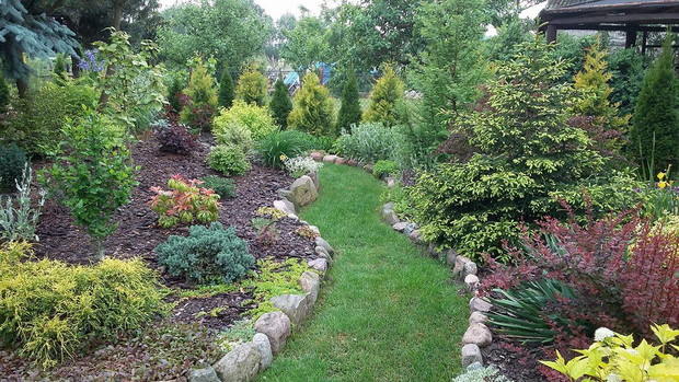 Początek czerwca, okolica za stawkiem.