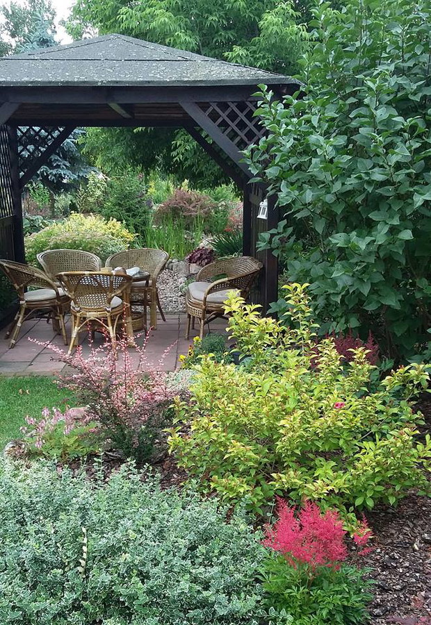 Przed altanką lilak, krzewuszka, berberys, tawułka arendsa.