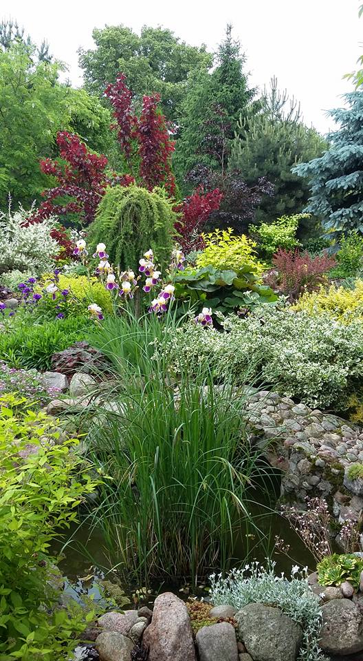 Przez stawek jest przejście małym kamiennym mostkiem.