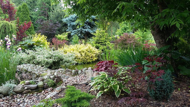 Przy stawku. Mieszkają w nim ryby i żaby. Często odwiedzają Nas też ważki.