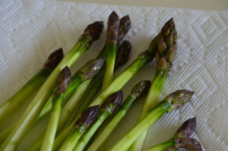 Przydomowa hodowla szparagów 