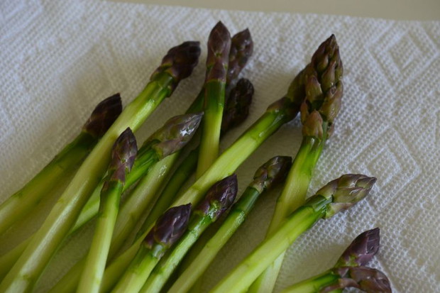 Przydomowa hodowla szparagów