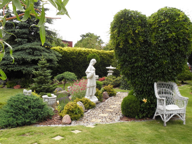 serce na starej jabłonce z winobluszczu