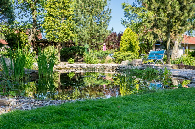 Staw bez rybek. Za to z czyściutką wodą.