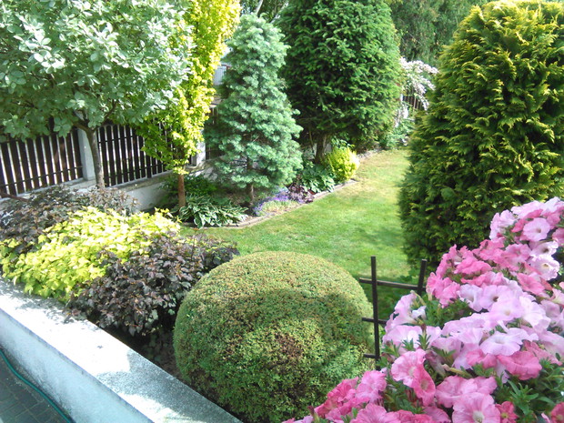 w tym sezonie na balkonie surfinie w odcieniach różu, a z dołu spoglądają na nie pęcherznice i tawuła