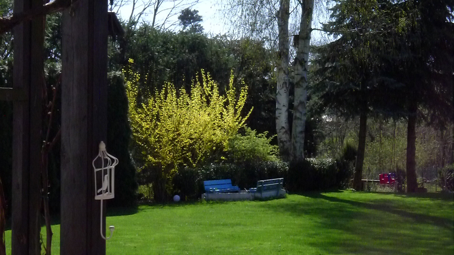 W żółtych płomieniach kwiatów, a u dołu piekarnia babek z piasku