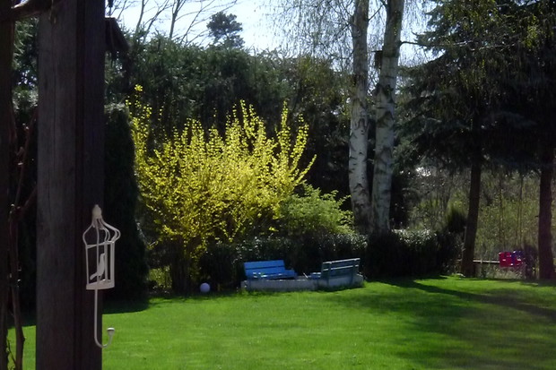 W żółtych płomieniach kwiatów, a u dołu piekarnia babek z piasku