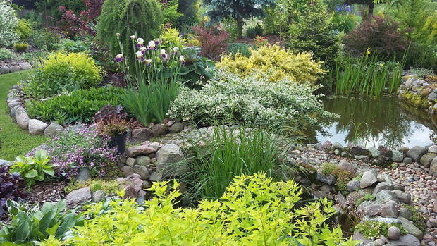 Widok na stawek i najstarszą część ogrodu.