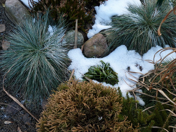 Wiosna już blisko....