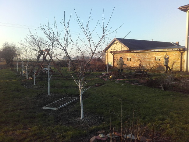 Wspaniała estetyka w ogrodzie.
