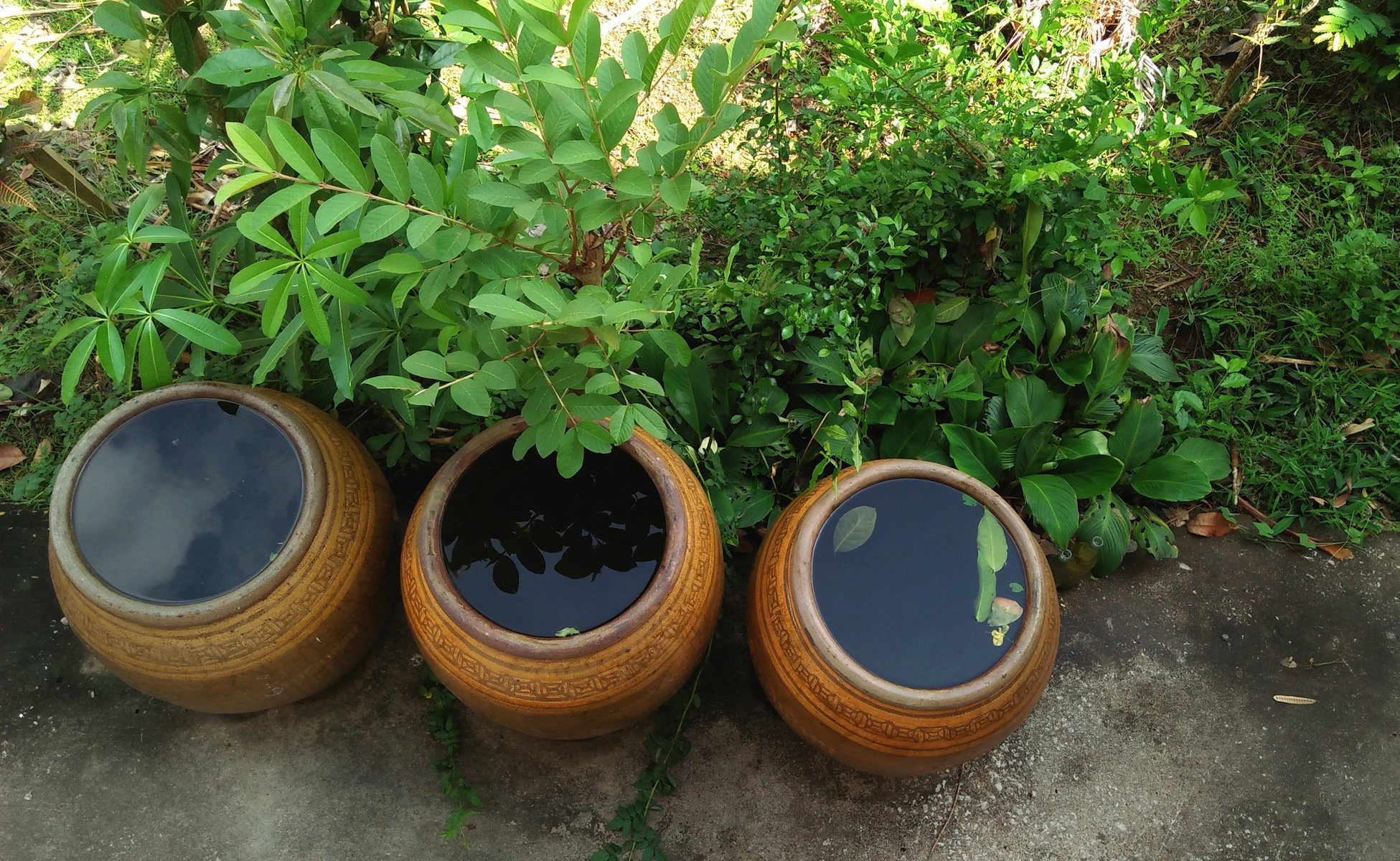 (zdj.: Shutterstock.com)