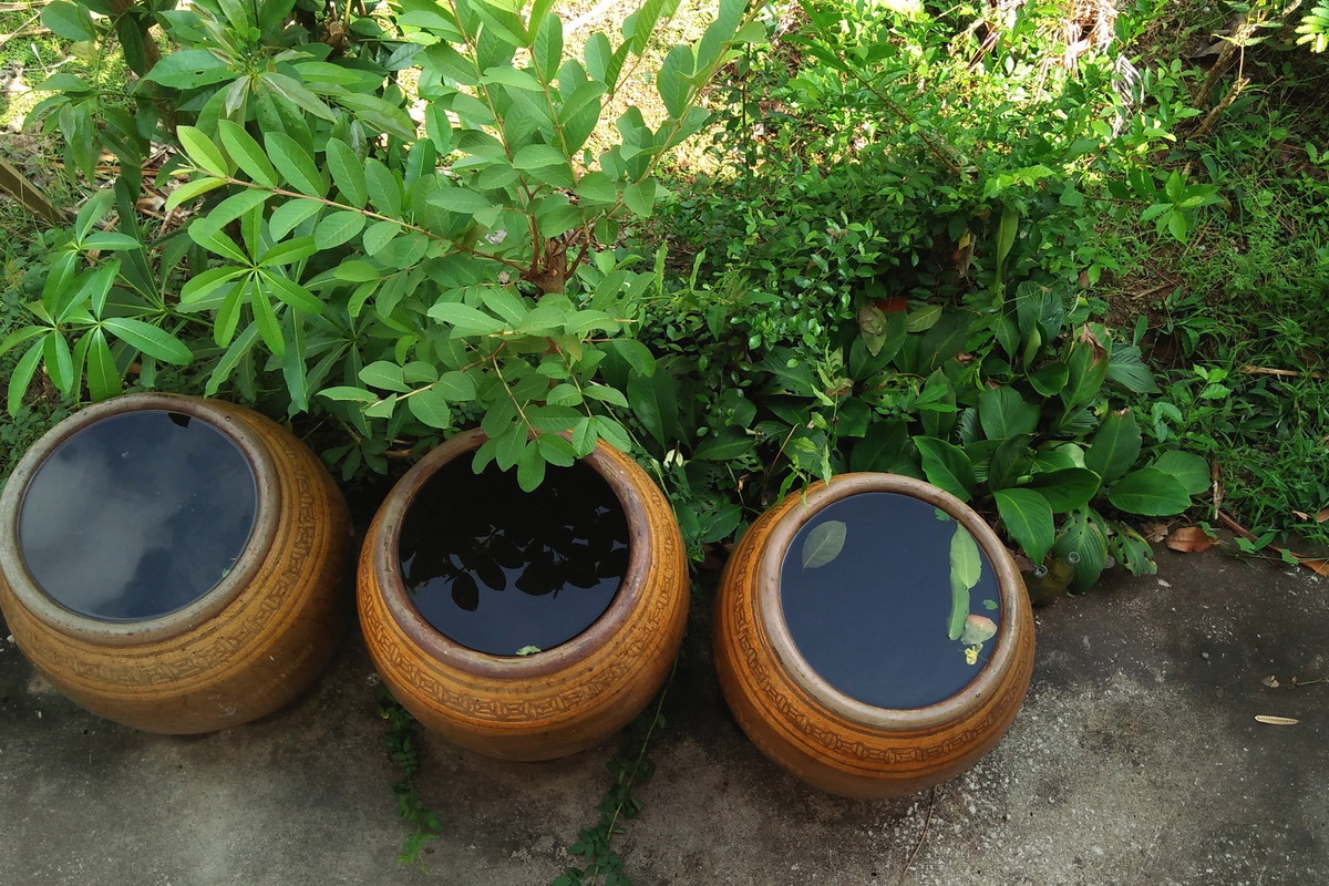 (zdj.: Shutterstock.com)