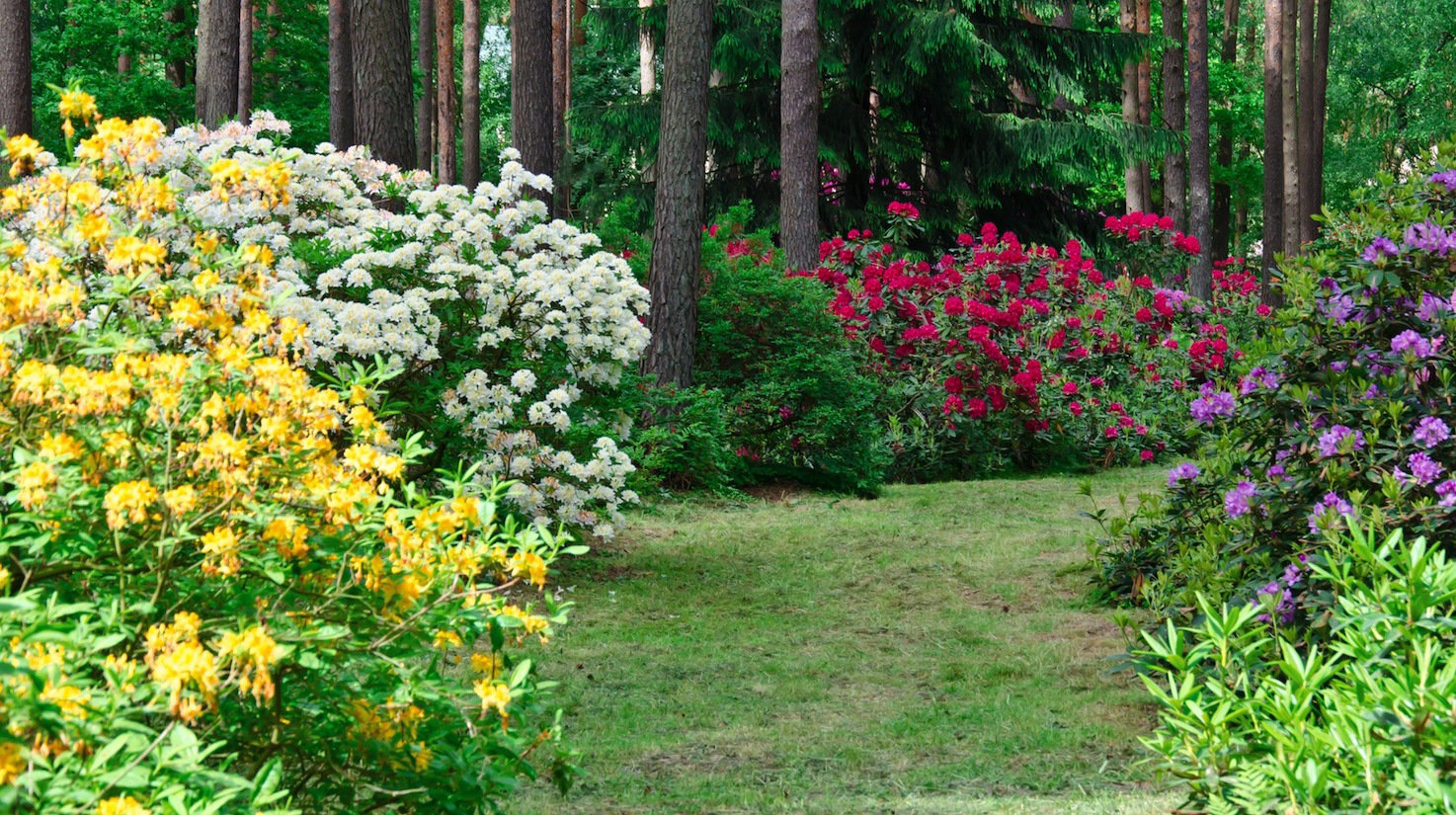 (zdj.: Shutterstock)