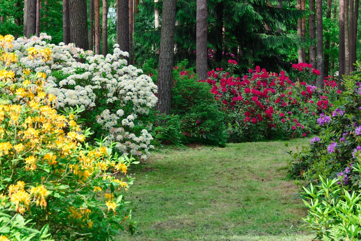 (zdj.: Shutterstock)